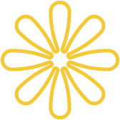 Expert Solutions for Corporate  Financial Success. - 星空娱乐