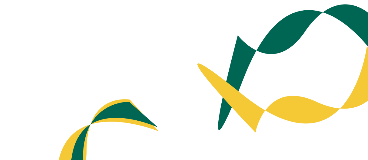 Expert Solutions for Corporate  Financial Success. - 星空娱乐